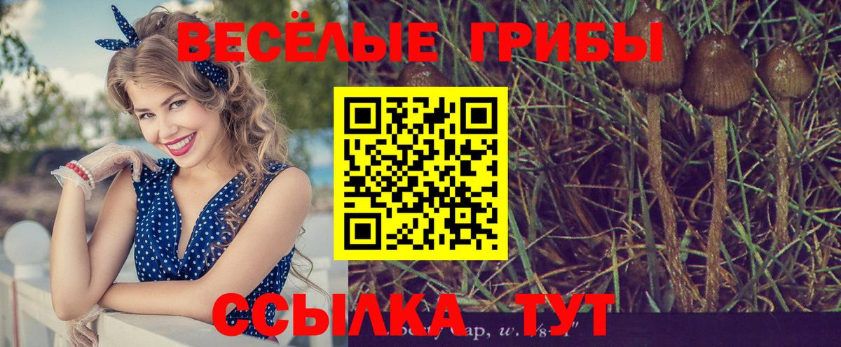 Псилоцибиновые грибы ЛСД Лыткарино